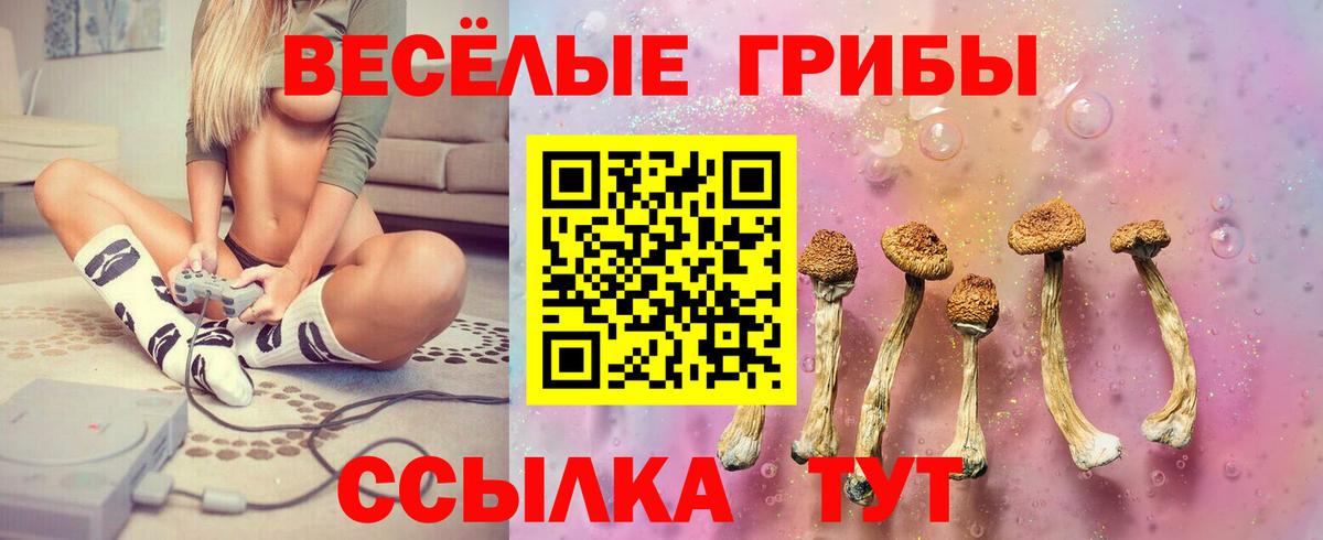 Галлюциногенные грибы Psilocybine cubensis Курчалой