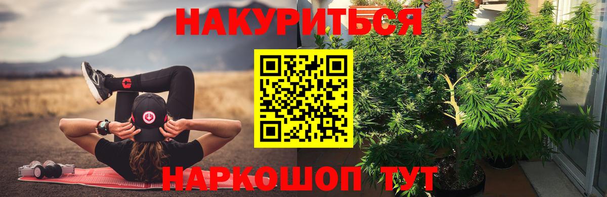 Конопля AK-47  Вход с VPN  Каннабис планчик  Бошки Шишки MAZAR  Курчалой 
