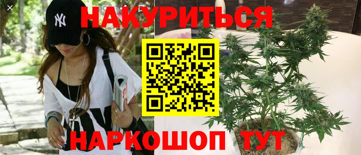 ГАШИШ Курчалой